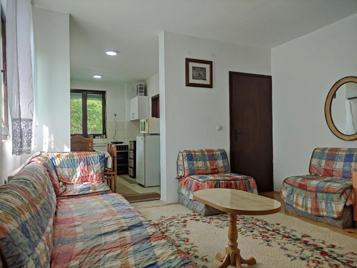 Ni Cozy House Cvetkovicヴィラ エクステリア 写真