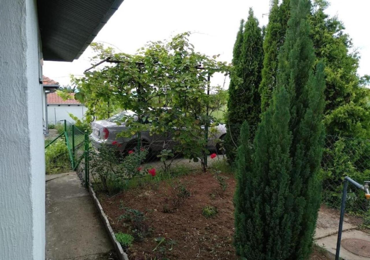 Ni Cozy House Cvetkovicヴィラ エクステリア 写真